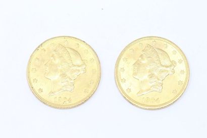 null Lot de deux pièces de 20 dollars or Liberty, 1904.

Poids : 66.8 g.