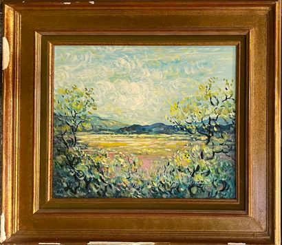 null PASCALET Pierre (1915)

Two oils on canvas

Mas à Lurs and the Plain of Saint...