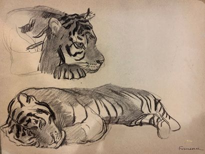 null FESNEAU Auguste Henri (1873-?)

Lot de quatre études de félins:



Tigre allongé...