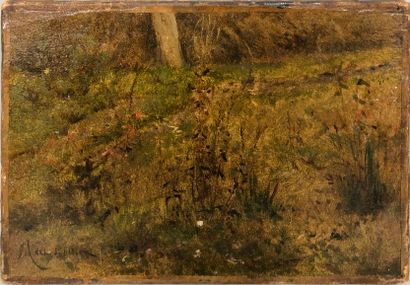 null HARPIGNIES Henri Joseph, surrounded by 

Plant bed,

oil on paper glued on canvas...