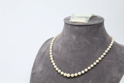 null Falling cultured pearl necklace, 18k (750) yellow gold clasp. 

Accident on...