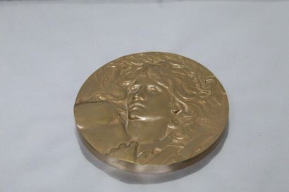 Single-faced bronze medal representing Orpheus...