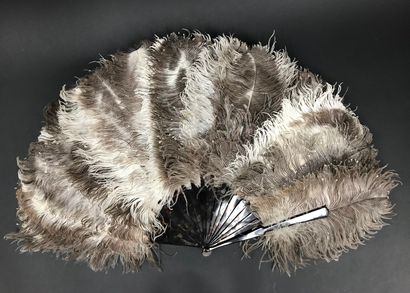 null Natural feathers, circa 1880-1900

Fan made of natural ostrich feathers and...
