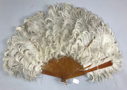 null For Mary, circa 1880-1890

Fan made of white ostrich feathers. 

Frame in blond...