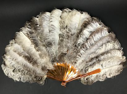 null Feathers and tortoiseshell, 19th century

Fan made of natural ostrich feathers.

Frame...