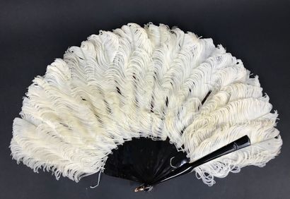 null Lucky Diamonds, circa 1890

Fan made of white ostrich feathers.

Brown tortoiseshell...