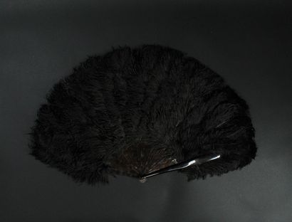 null Three fans, late 19th century

In ostrich feathers, white, black and natural....
