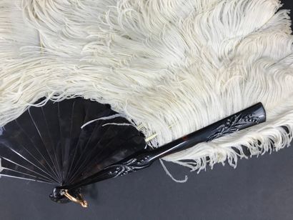 null Lucky Diamonds, circa 1890

Fan made of white ostrich feathers.

Brown tortoiseshell...