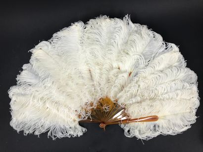 null White ostrich feathers, circa 1890-1900

Fan made of white ostrich feathers.

Frame...