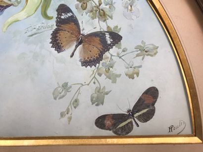 null H. Poulin et F. Gardon, Papillons naturels par lépidochromie, vers 1890-1900

Exceptionnelle...