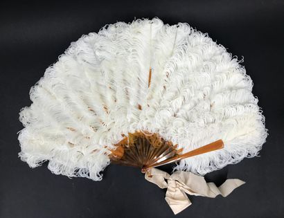 null Gold numeral, circa 1880-1890

Fan made of natural ostrich feathers. 

Frame...