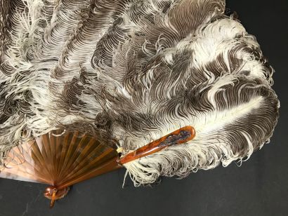 null Feathers and tortoiseshell, 19th century

Fan made of natural ostrich feathers.

Frame...