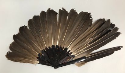 null Three fans, circa 1890

*The asymmetrical one, in feathers. Brown tortoiseshell...