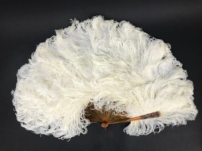 null White ostrich feathers, circa 1890-1900

Fan made of white ostrich feathers.

Frame...