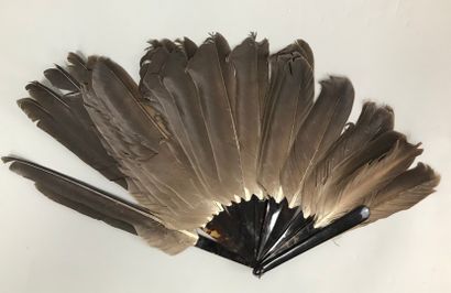 null Three fans, circa 1890

*The asymmetrical one, in feathers. Brown tortoiseshell...