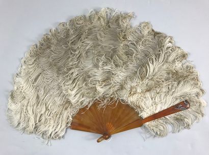 null For Mary, circa 1880-1890

Fan made of white ostrich feathers. 

Frame in blond...