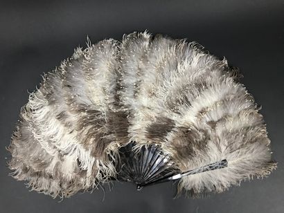 null Plumes naturelles, vers 1880-1900

Éventail en plumes d'autruches naturelles...