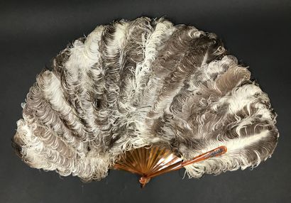null Feathers and tortoiseshell, 19th century

Fan made of natural ostrich feathers.

Frame...