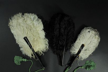 null Three fans, late 19th century

In ostrich feathers, white, black and natural....