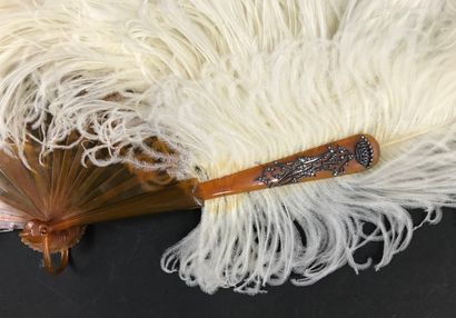 null White ostrich feathers, circa 1890-1900

Fan made of white ostrich feathers.

Frame...