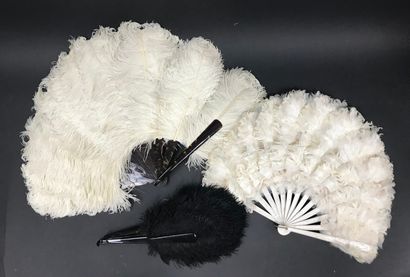 null Three fans, 19th century

In white ostrich feathers for two, and black for one....