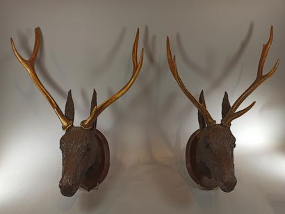 null MADER Walter (in the taste of)

Pair of sculpted and patinated linden deer heads...