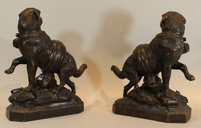 null MADER Walter (attributed to)

Pair of opposite Saint Bernard dogs in carved...