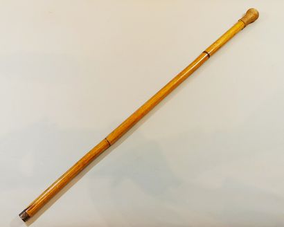  Bamboo cane, 
Length: 88 cm