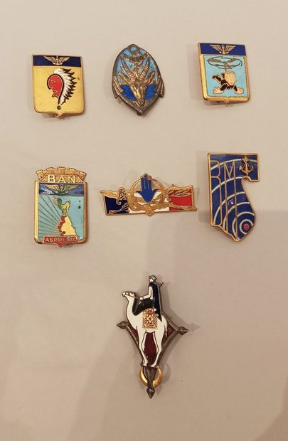 Six regimental badges: 
 
Aspretto Aero Naval...