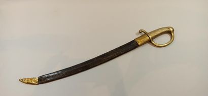 null Lighter saber Model AN XI

Blade marked Manuf. Imp. of Klingenthal January 1815....