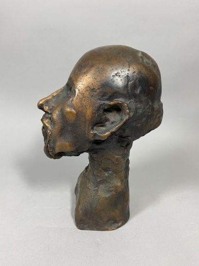 null ROULLAND Jean , born in 1931

Bust of Hippocrates

bronze with patina medal...