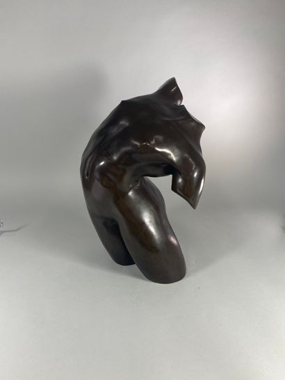 null 
RAYOU Dominique, born in 1957,





Contortion,torso in bronze with shaded...