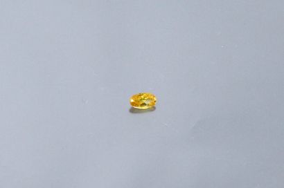 null Oval yellow/orange sapphire on paper. 

Weight approx. 1.70 ct.