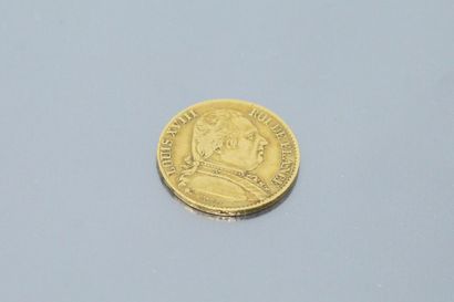 null Pièce en or de 20 francs Louis XVIII Buste habillé (1815 W)

TTB.

Poids : 6.45...