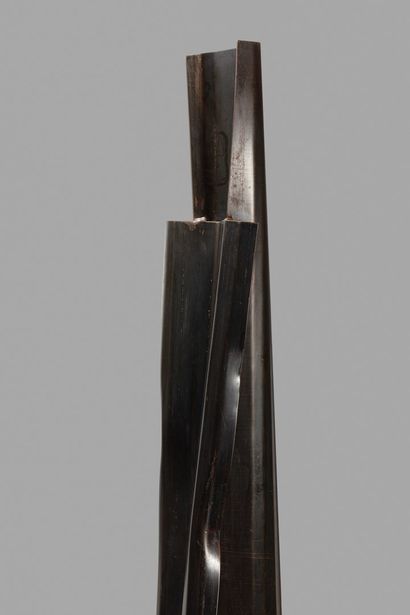 null MALTIER Dominique, né en 1954

Sans titre noir

sculpture en métal soudé à patine...