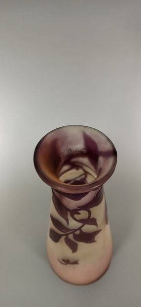 null ETABLISSEMENTS GALLE (1904-1936)

Conical vase with open neck. Proof in purple...