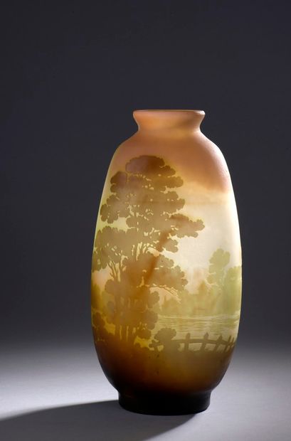 null ETABLISSEMENTS GALLE (1904-1936)

Vase with flattened ovoid body and conical...