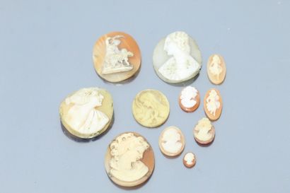 null Eleven cameos on shell representing women's profiles (acc.)

Size : 0.7 cm to...