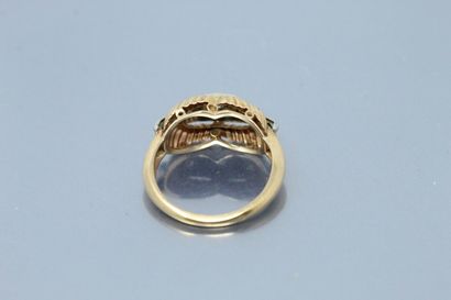 null Bague en or jaune et gris 18k (750) ornée de petits brillants

Tour de doigt...