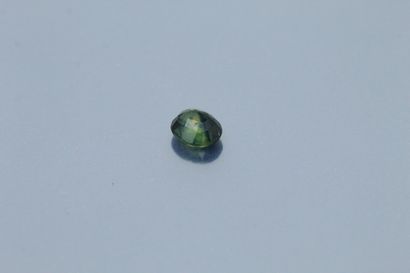 null 
Oval green sapphire on paper. 




Weight : 2.15 cts.
