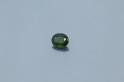 null 
Blue-green oval sapphire on paper. 




Weight : 3.29 cts.
