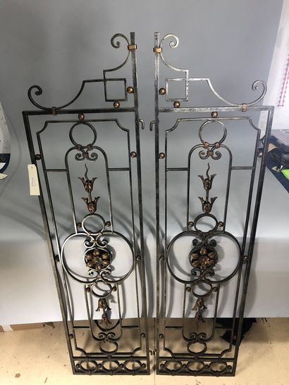 null Pair of wrought iron apartment gates opening to two leaves decorated with floral...
