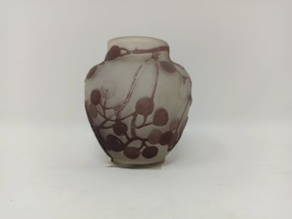 null Small ovoid vase in acid-etched glass decorated with chestnuts and chestnut...