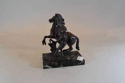 null COUSTOU, After (20th century)

The Horses of Marly

Bronze with brown patina,...