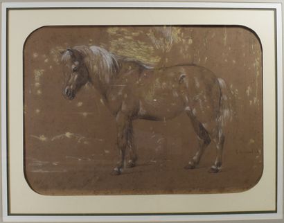 null CORREARD Louis-Philippe (1815-1858)

Portrait de poney

3 crayons sur papier...