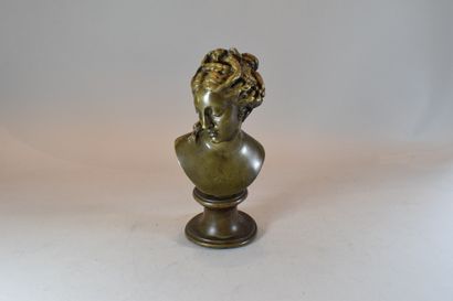 null Fin XIXeme siècle

Buste de femme au chignon en bronze, sur un piédouche. 

H....