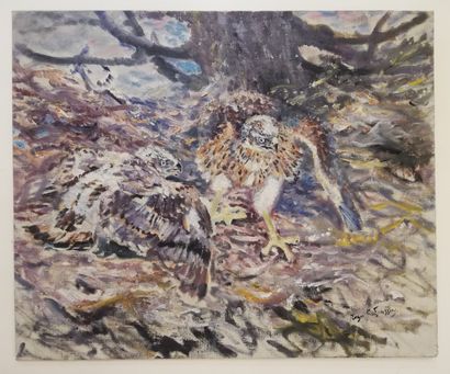 null REBOUSSIN Roger

Birds of prey

Oil on canvas mounted on wood panel

60x73c...