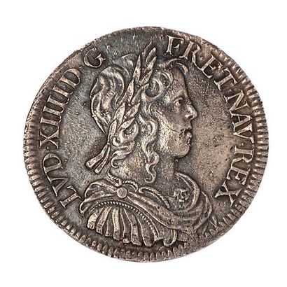 null Louis XIV (1643-1715)

Half shield with a long nose 1652 X 

Dup. : 1470. 

SUP....