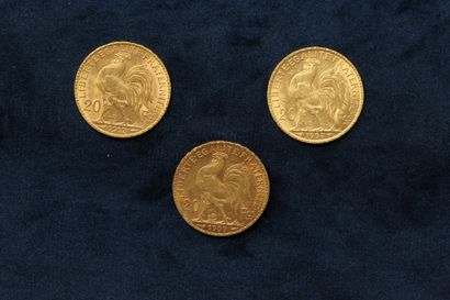 null Three gold coins 20 francs Coq 1904 - 1909 -1912.

TB to TTB.

Weight : 19.30...