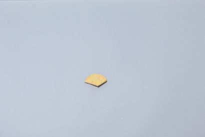 null Gold debris : piece of a 20 F Coq coin. 

Weight : 3.40 g